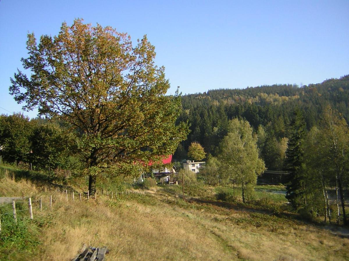 Pokoje Goscinne Angelika Weichsel Exterior foto