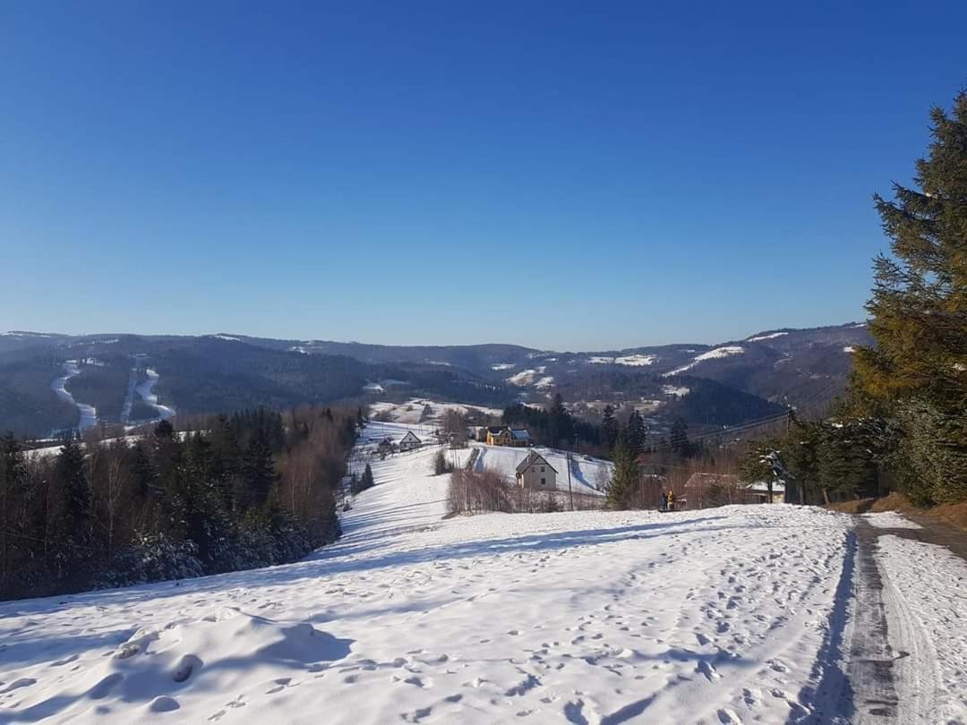 Pokoje Goscinne Angelika Weichsel Exterior foto